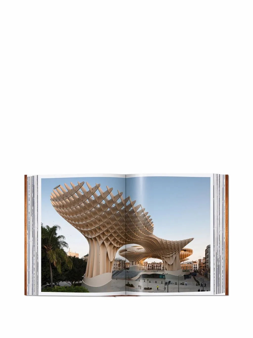 Contemporary Wood Buildings 100 book