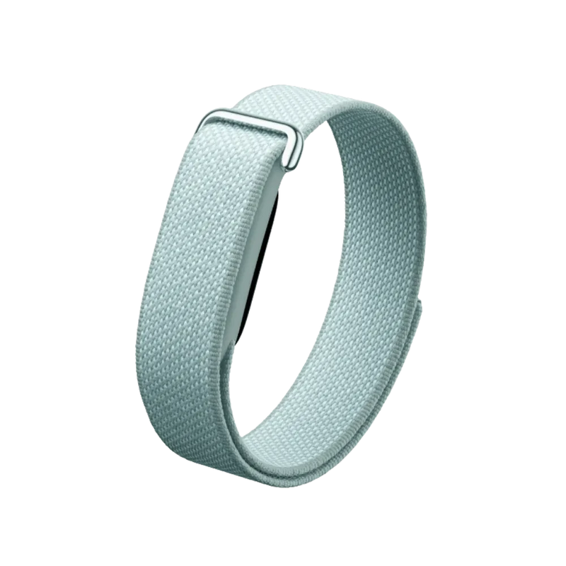 Google Fitbit Air "Fog"