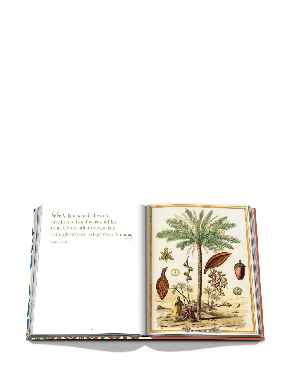 Assouline