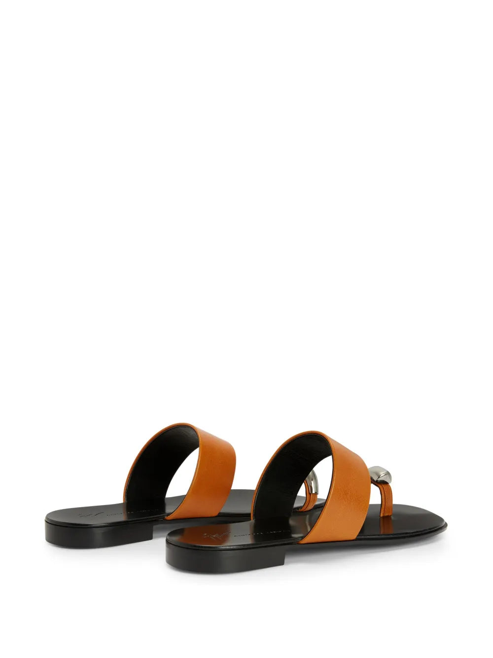 Giuseppe Zanotti