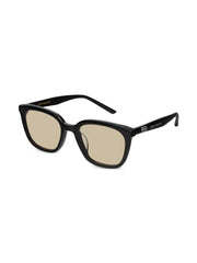 Pino 01(BR) sunglasses