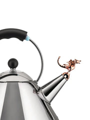 Tea Rex stainless-steel kettle