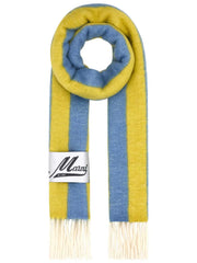 striped scarf