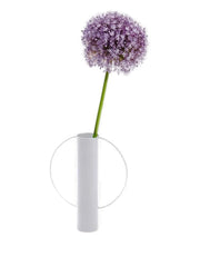 circular-handle vase
