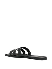 Jelly IV slides
