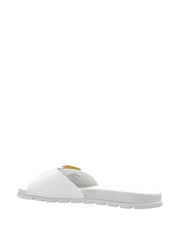buckle slides