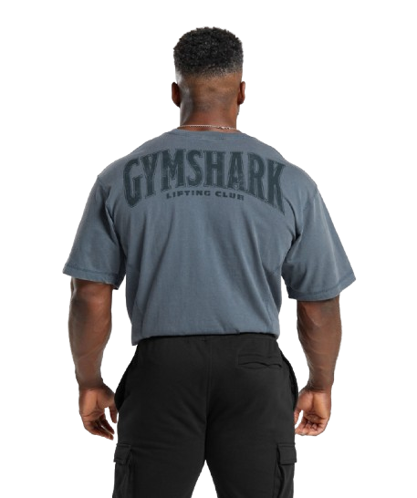 Gymshark Heritage Washed T-Shirt - Titanium Blue
