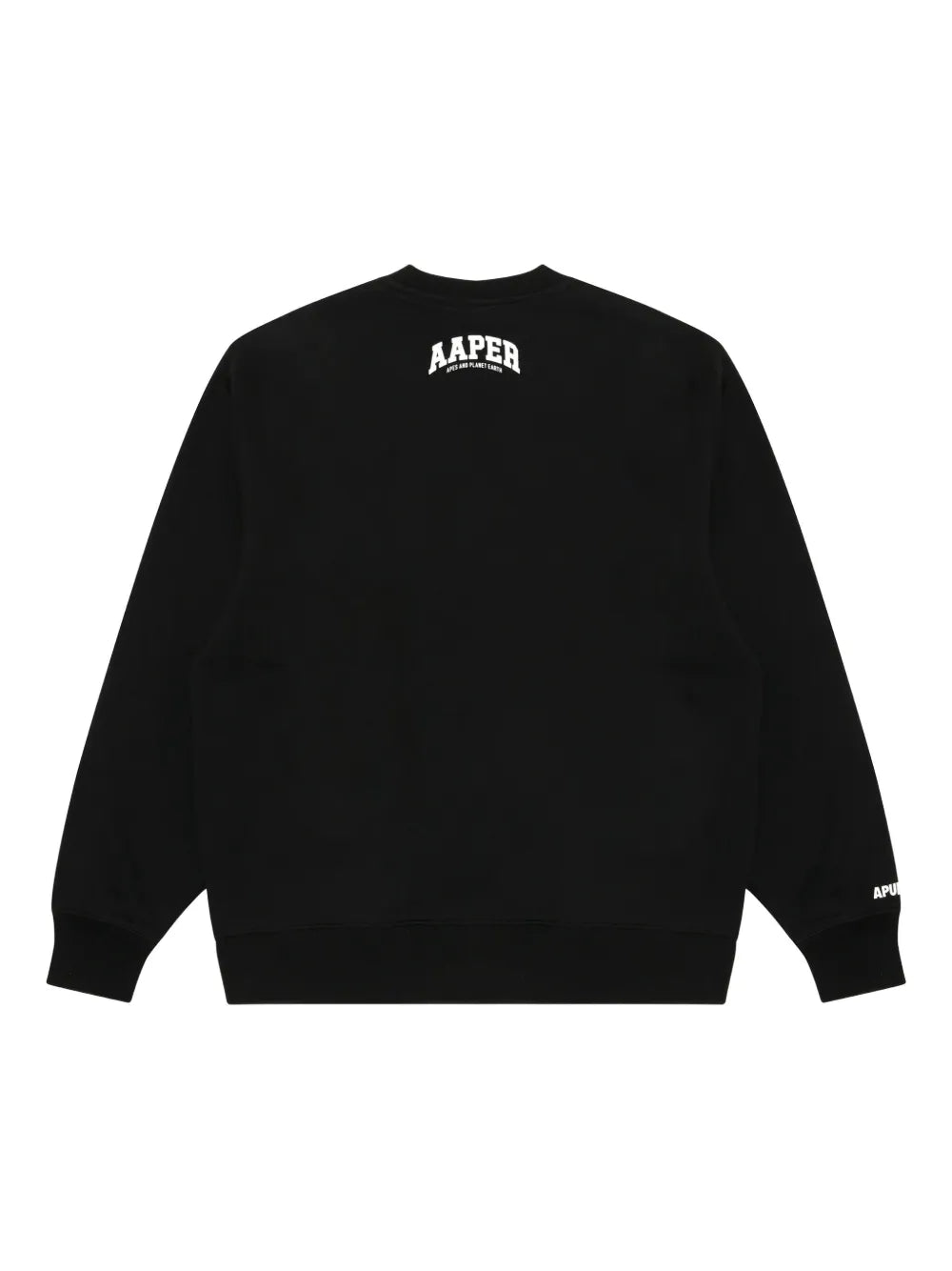 Planet Earth sweatshirt