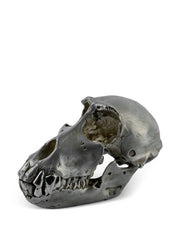 silver plated monkey skull