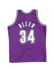 Ray Allen jersey