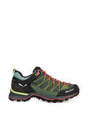 hiking shoes
