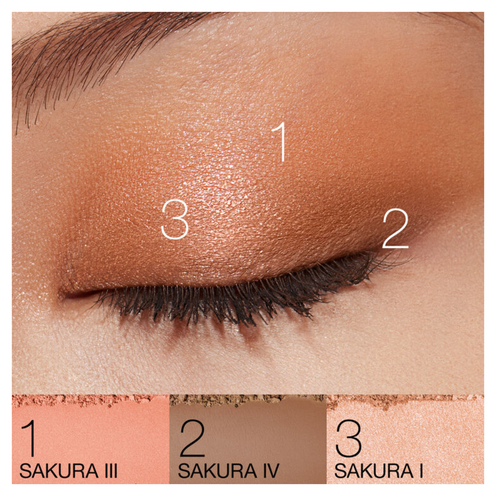 NARS