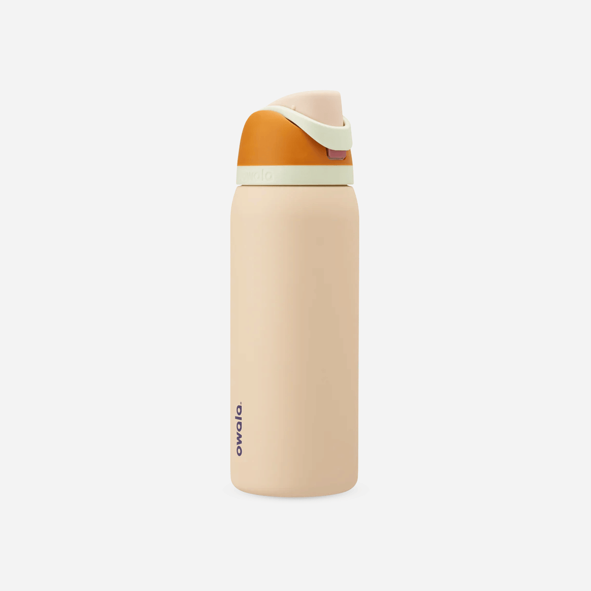 Owala FreeSip 32oz Stainless Steel Water Bottle Water in the Desert