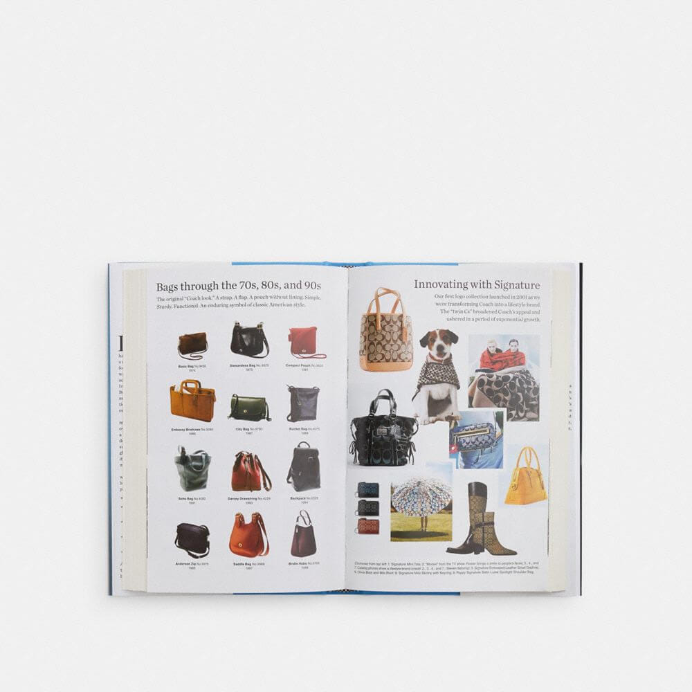 Bag Man: The Story Behind The Improbable Rise Of Coach