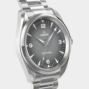 Omega Seamaster Railmaster Co-Axial Master Chronometer Automatic / Steel / 38 mm / Box&Papers / 235.10.38.20.06.001