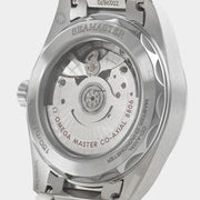 Omega Seamaster Railmaster Co-Axial Master Chronometer Automatic / Steel / 38 mm / Box&Papers / 235.10.38.20.06.001