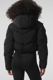 Glacier Puffer