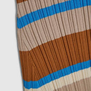 Petite Brown Knitted Striped Maxi Dress