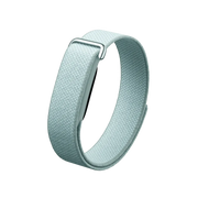 Google Fitbit Air "Fog"