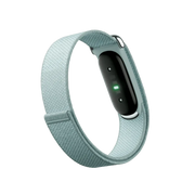 Google Fitbit Air "Fog"