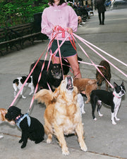 You Look Good Leash