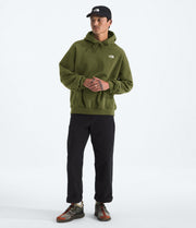 The North Face Men’s Evolution Simple Dome Oversize Hoodie Woodland Green