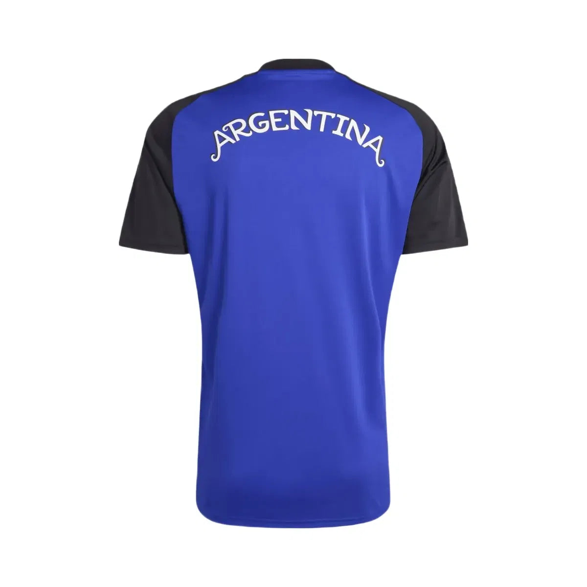 FIFA 2026 Argentina 26 Away Pre Match Jersey - Men's
