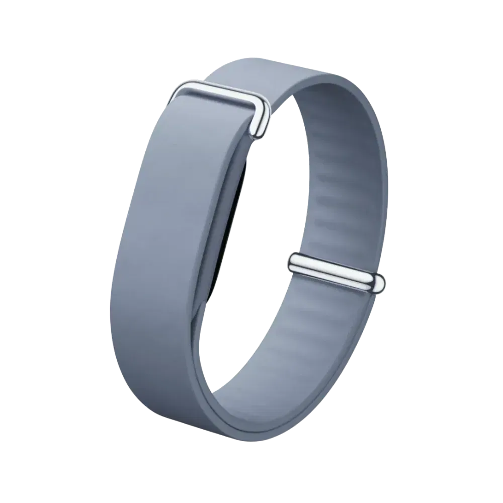 Google Fitbit Air Elevated Modern Band 'Porcelain' (Strap Only)