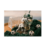 Starbucks x FIFA World Cup 2026 Bearista Bear Football Cap Glass Cup