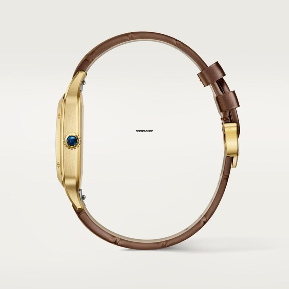 Cartier Santos