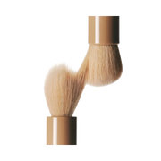 Rhode Pocket Brush
