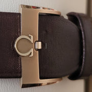 Omega Seamaster 300 Co-Axial Master Chronometer patiniertes Bronze Gold für Liebhaber lebendiger Material
