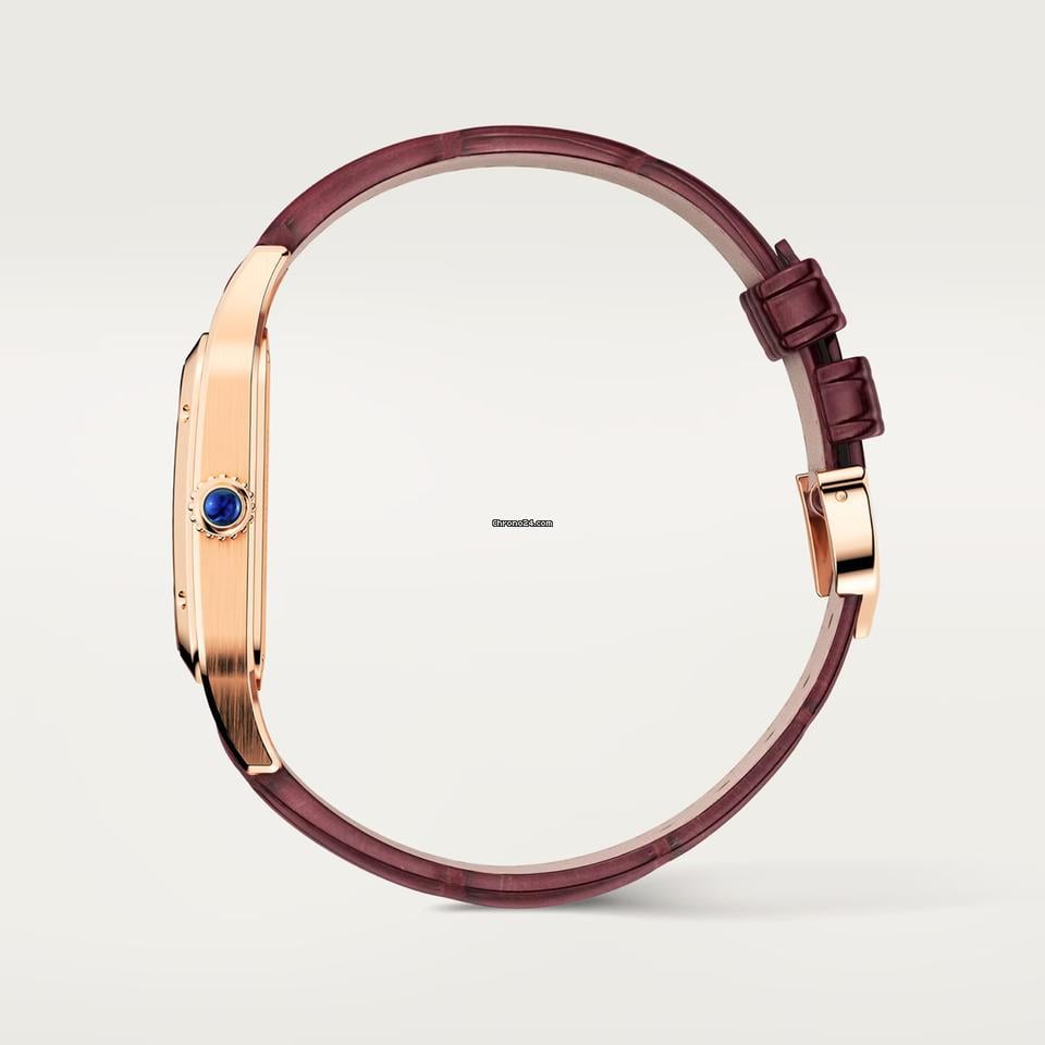 Cartier Santos