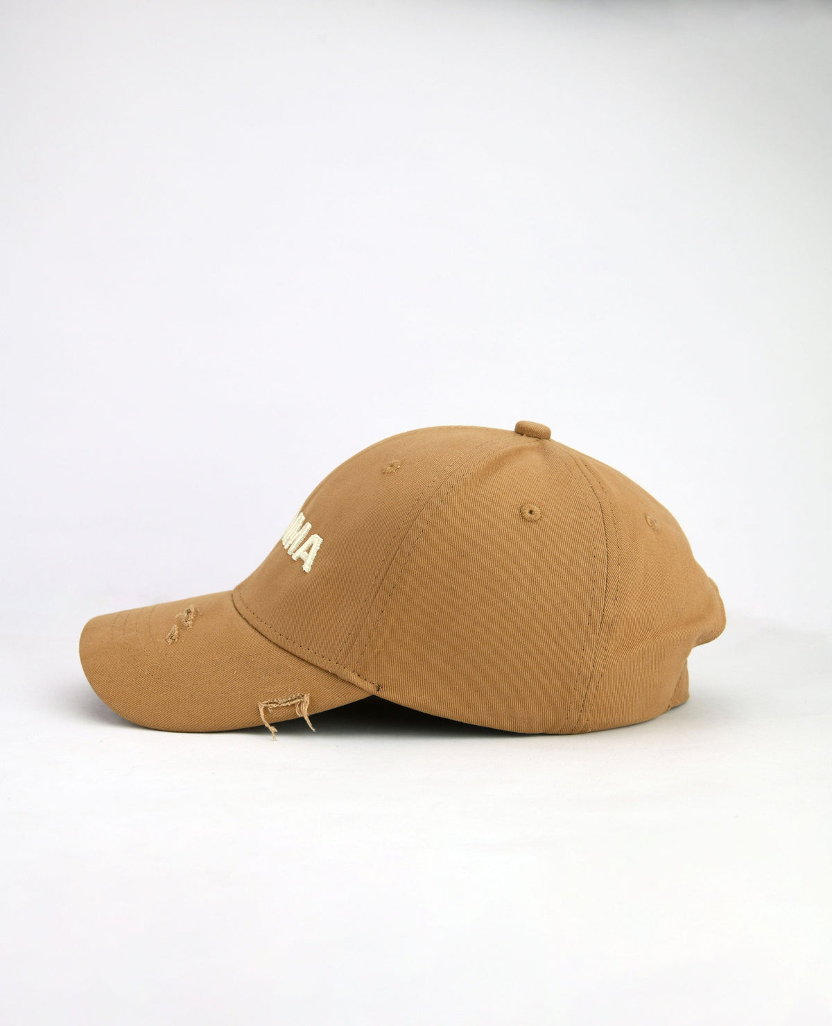 Brahma // Mud Baseball Cap