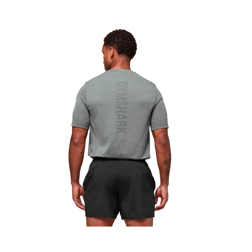 Gymshark Lightweight Seamless T-Shirt Light Grey