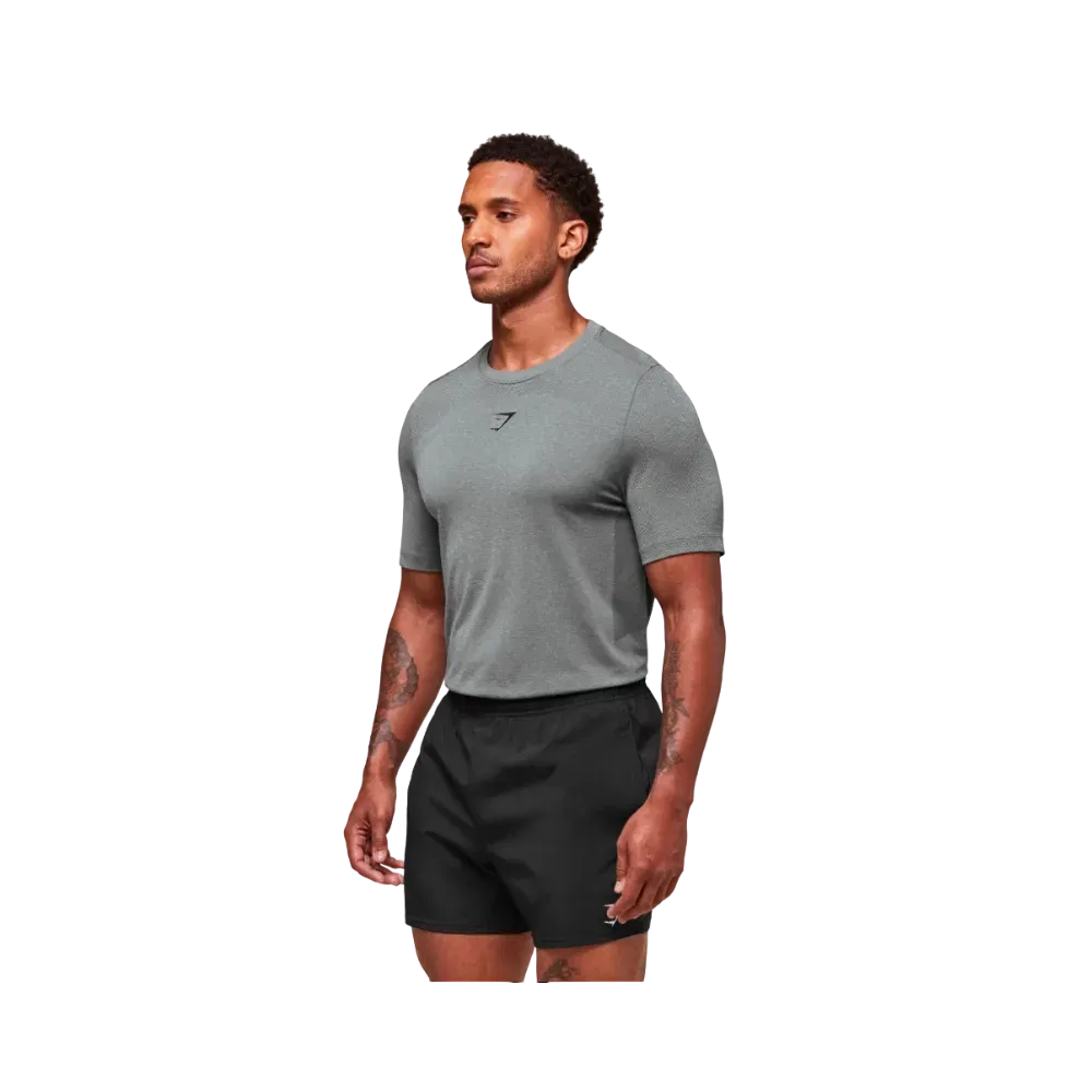 Gymshark Lightweight Seamless T-Shirt Light Grey