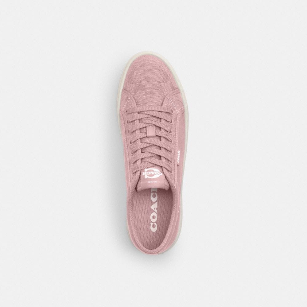 Women's Coach Canvas Sneaker Carnation Chalk
