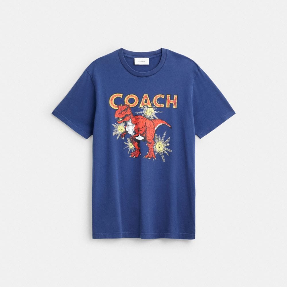 Garment Washed Dinosaur T-Shirt In Organic Cotton
