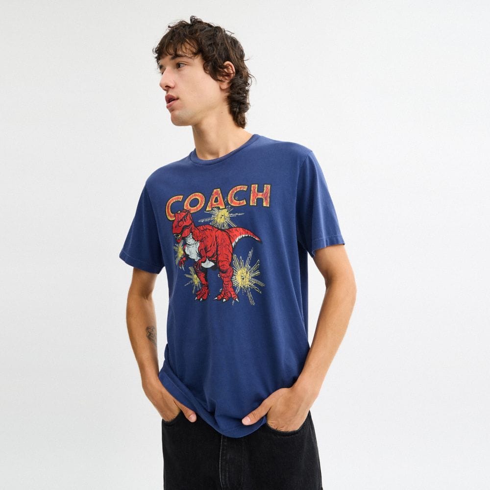 Garment Washed Dinosaur T-Shirt In Organic Cotton