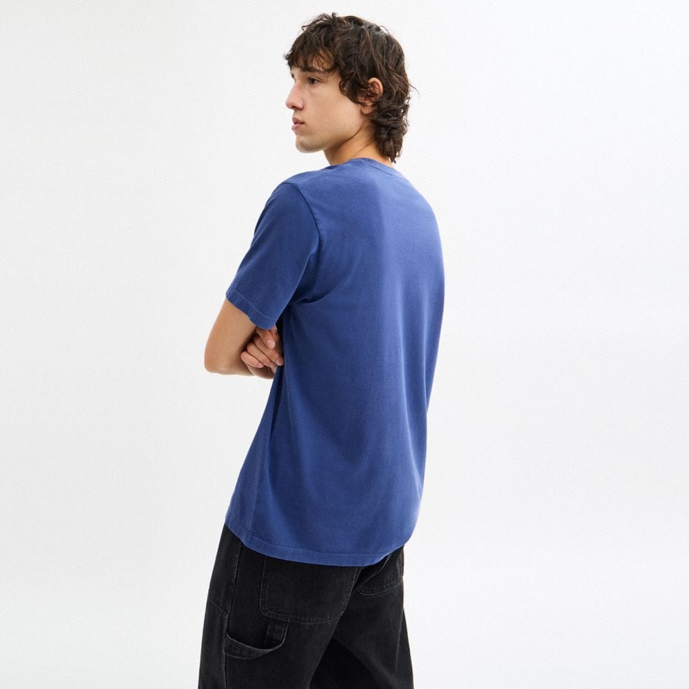 Garment Washed Dinosaur T-Shirt In Organic Cotton