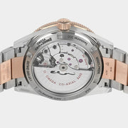 Omega Seamaster 300 Titanium&Sedna gold / 41 mm / 233.60.41.21.03.001