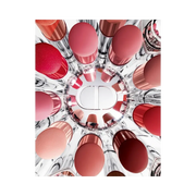 Dior Addict Glass Lipstick 906 Talk My Dior