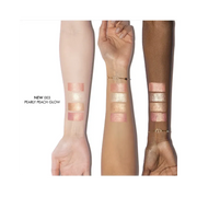 Dior Backstage Glow Maximizer Palette 005 Sunlit Amber Glow