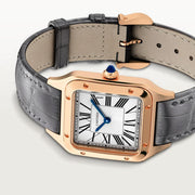 Cartier Santos