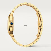 Cartier Santos