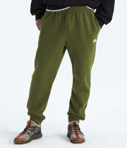 The North Face Men’s Evolution Simple Dome Regular Joggers Woodland Green