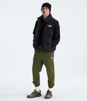 The North Face Men’s Evolution Simple Dome Regular Joggers Woodland Green