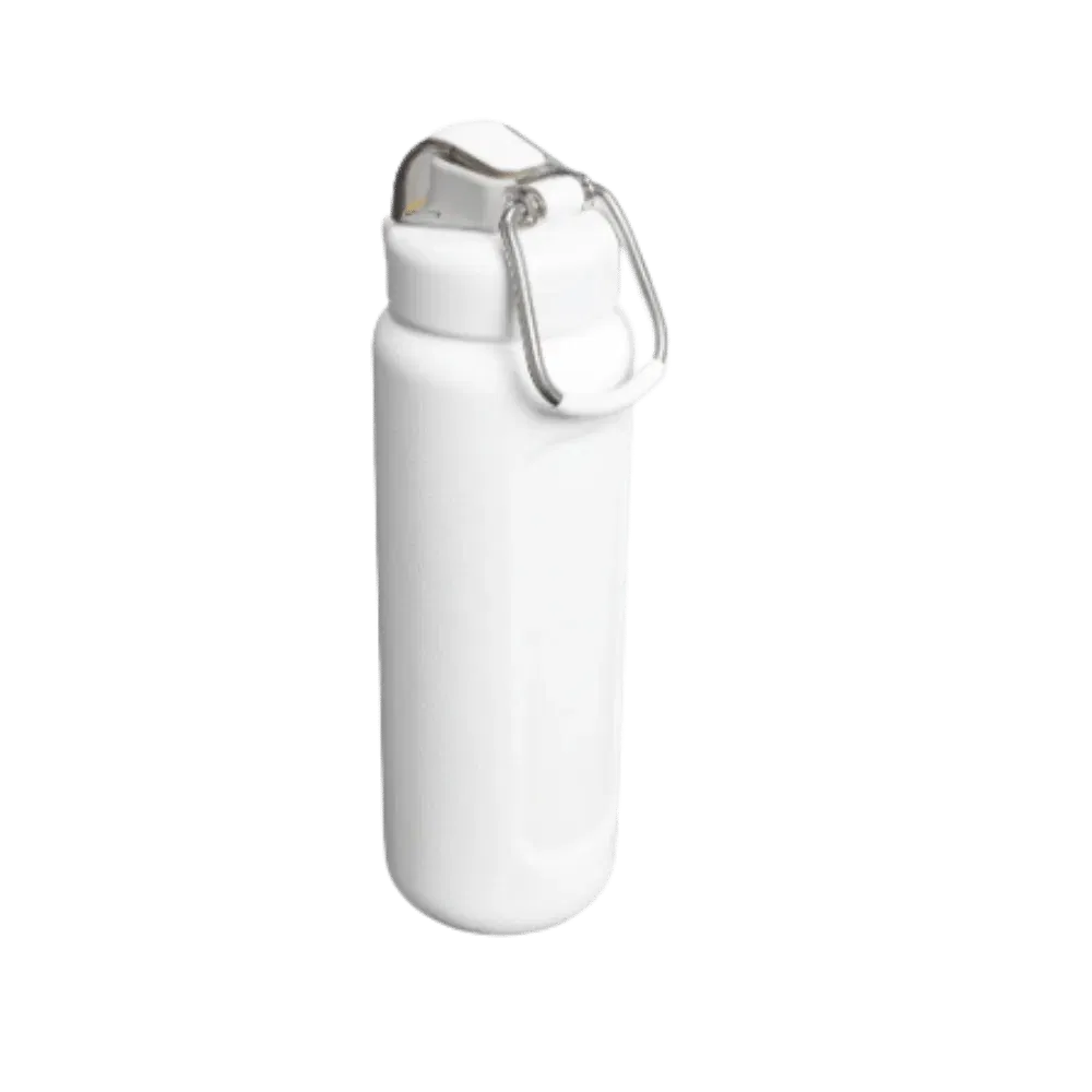 Stanley Wellspring Bottle (24OZ) Hammertone Frost