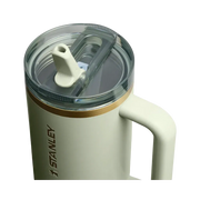 Stanley Quencher ProTour Flip Straw Tumbler (40OZ) Juniper