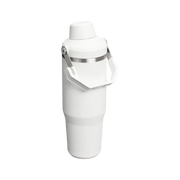 Stanley IceFlow Tumbler with Fast Flow Lid (30OZ) Frost